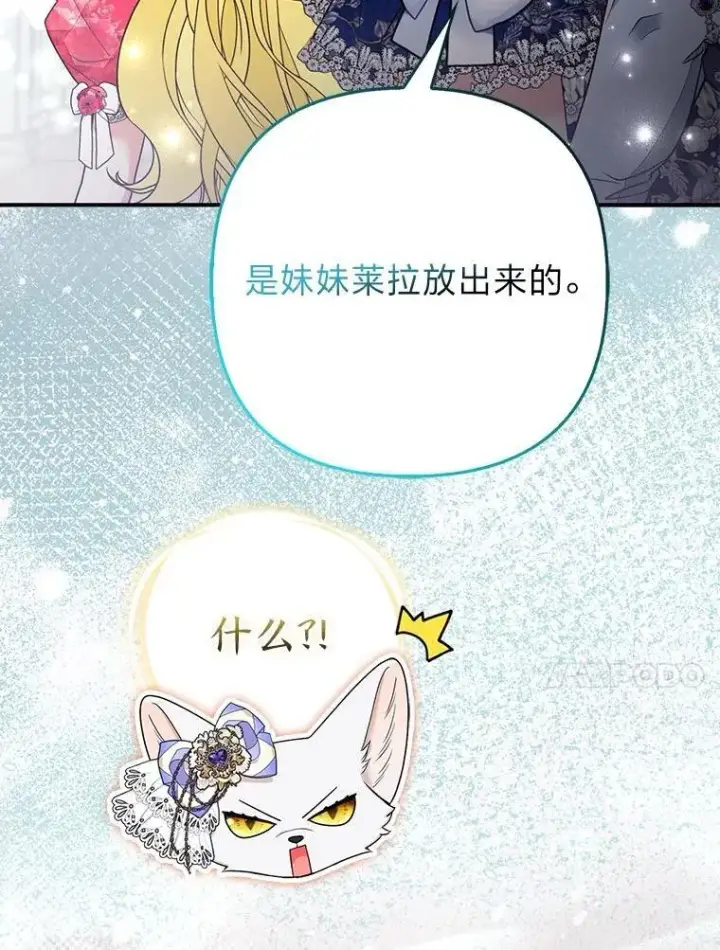 漫画《大公家的狐狸皇女》29.宴会的真正目的第41张图