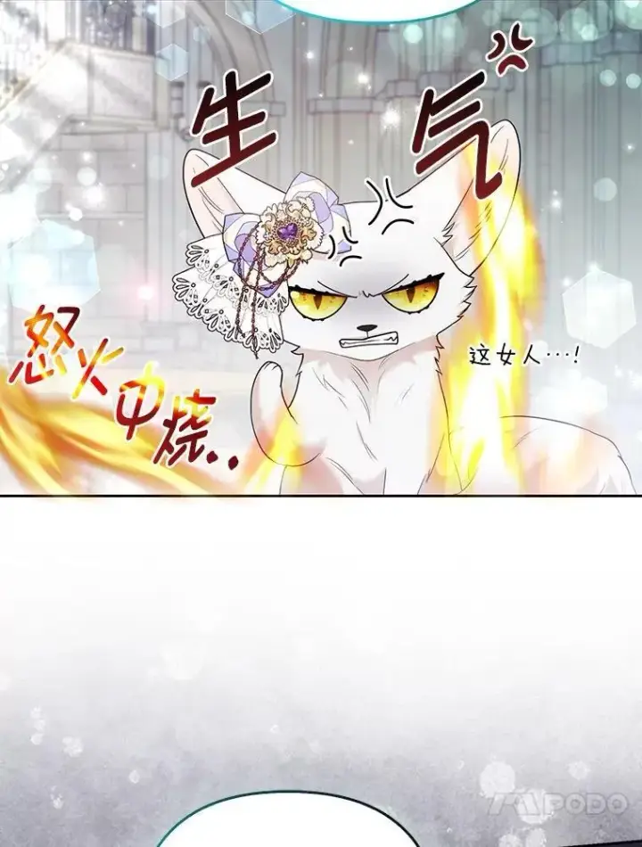 漫画《大公家的狐狸皇女》29.宴会的真正目的第44张图