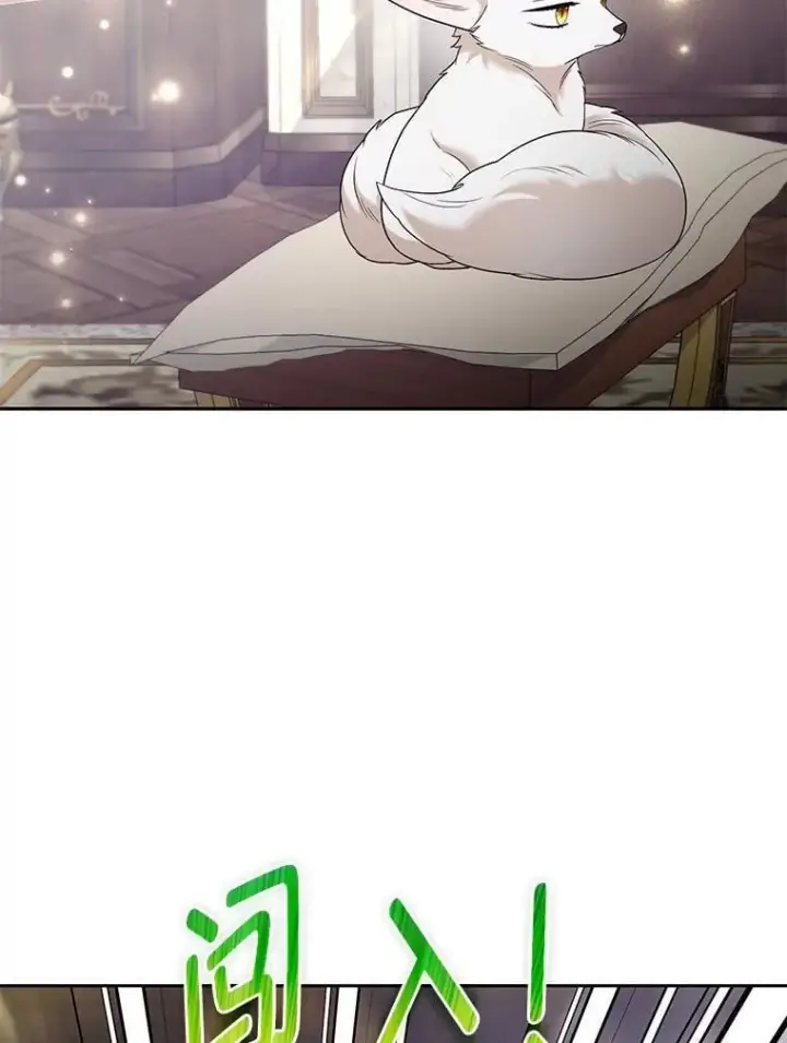 漫画《大公家的狐狸皇女》31.魔法师会议第32张图