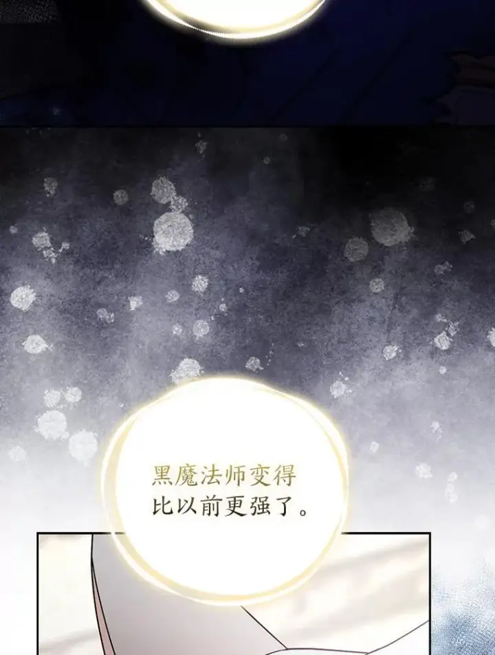 漫画《大公家的狐狸皇女》31.魔法师会议第48张图