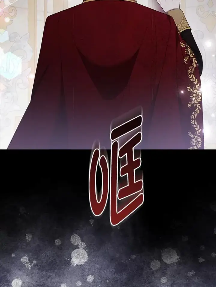 漫画《大公家的狐狸皇女》38.皇帝的异样第49张图