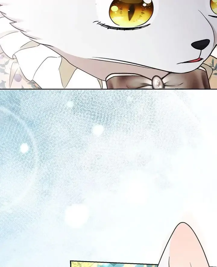 漫画《大公家的狐狸皇女》39.开始义拍第32张图