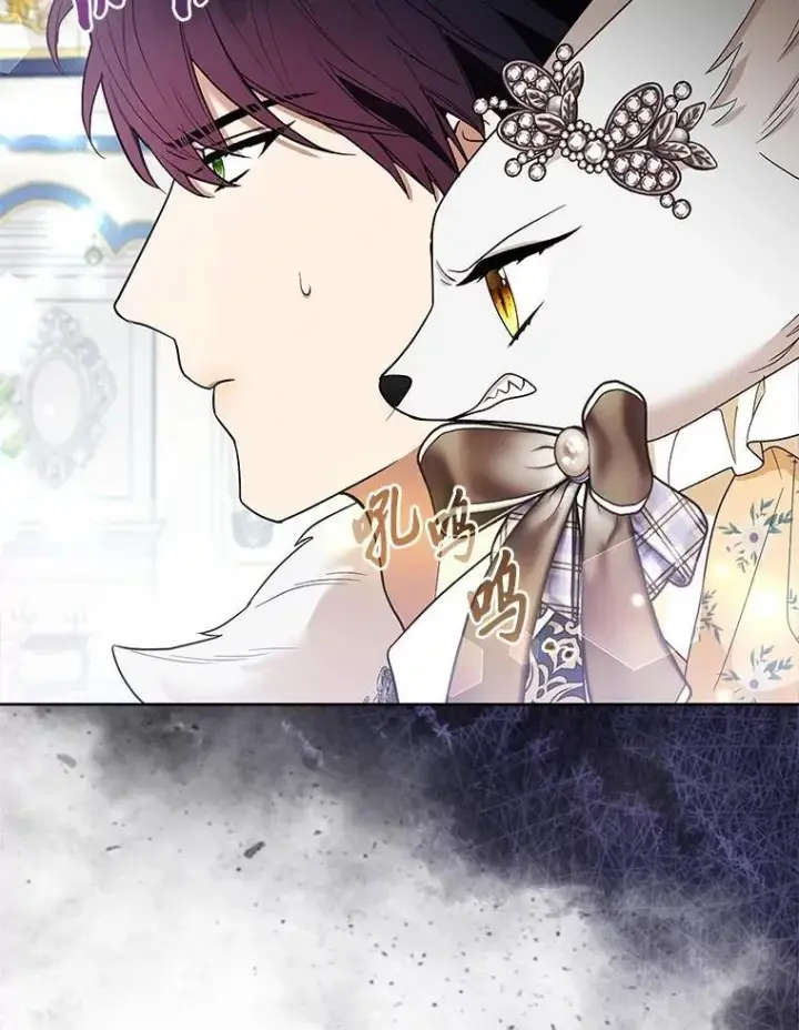 漫画《大公家的狐狸皇女》39.开始义拍第42张图