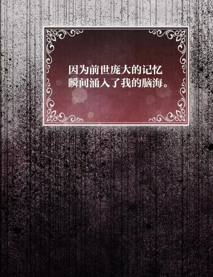 漫画《大公家的狐狸皇女》48.熟悉的小孩第12张图