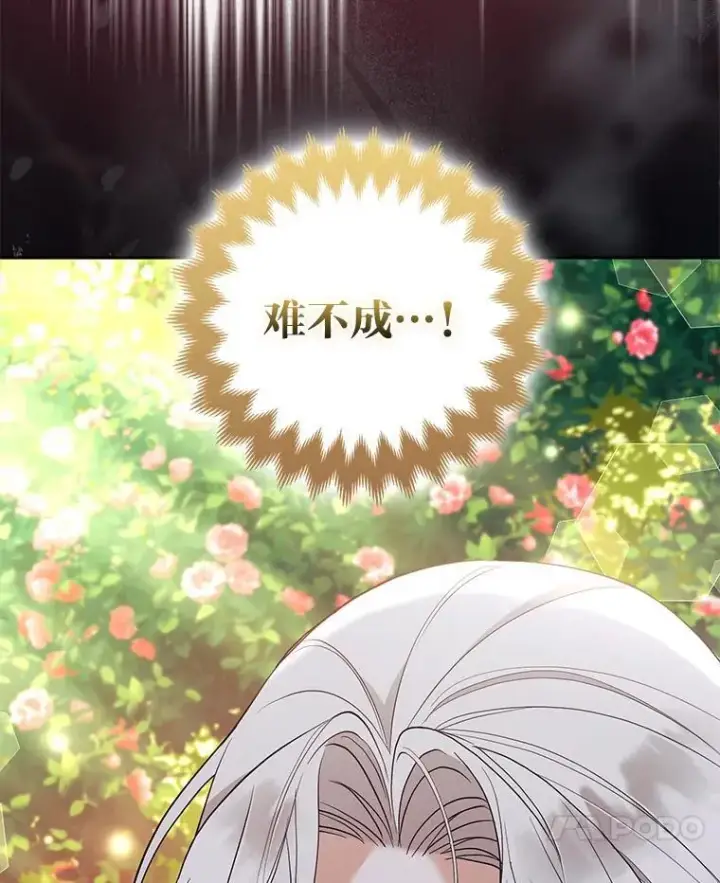 漫画《大公家的狐狸皇女》48.熟悉的小孩第7张图