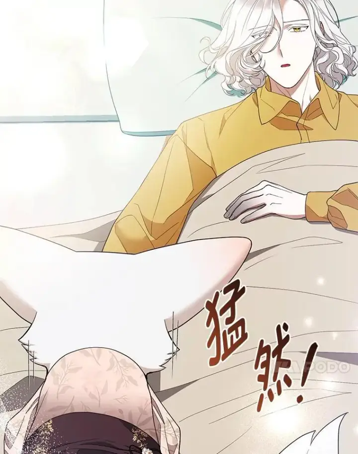漫画《大公家的狐狸皇女》52.等待哥哥苏醒第45张图
