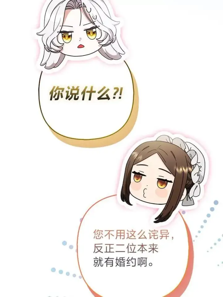 漫画《大公家的狐狸皇女》56.祝你好运第28张图