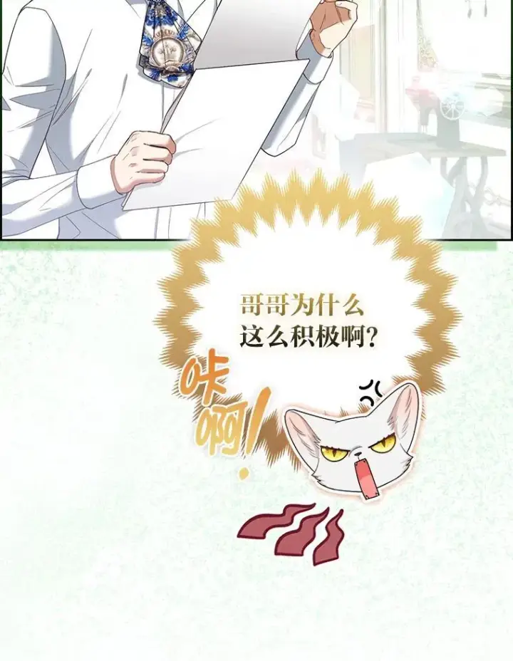 漫画《大公家的狐狸皇女》58.筹备相亲宴会第81张图