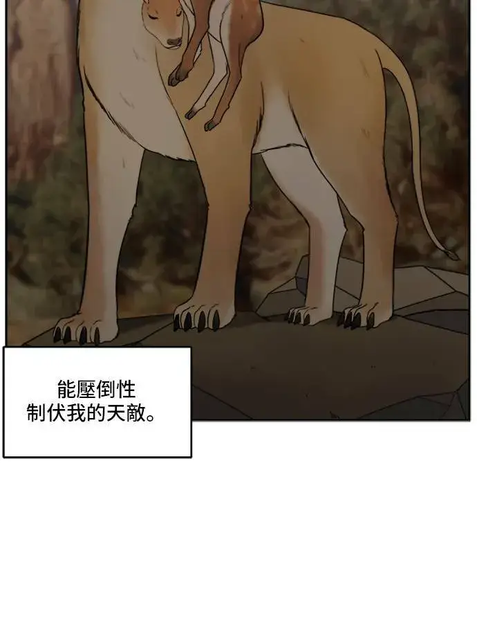 漫画《盗脸人生》裵善忠 4第50张图