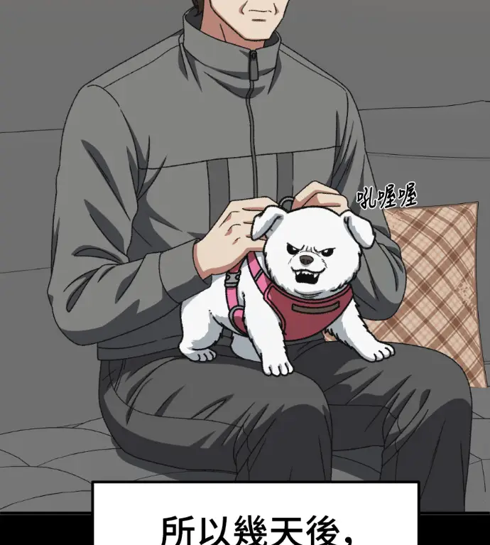 漫画《盗脸人生》S3 桂米秦 5第111张图