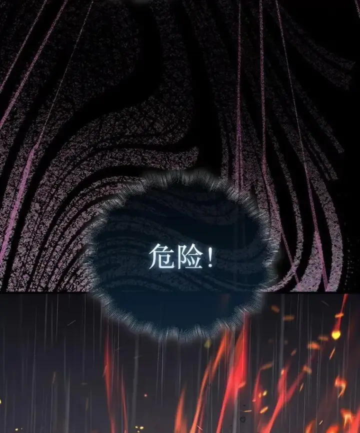 漫画《第31枚棋子打翻棋盘》46.双胞胎骑士第29张图