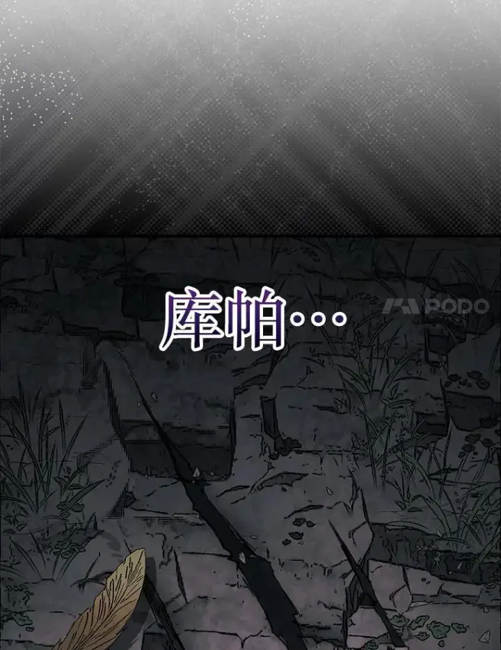 漫画《第31枚棋子打翻棋盘》50.库帕第104张图