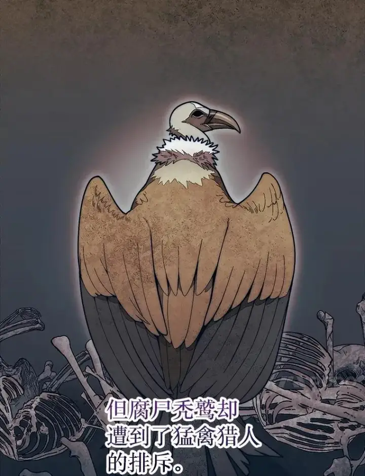 漫画《第31枚棋子打翻棋盘》50.库帕第124张图