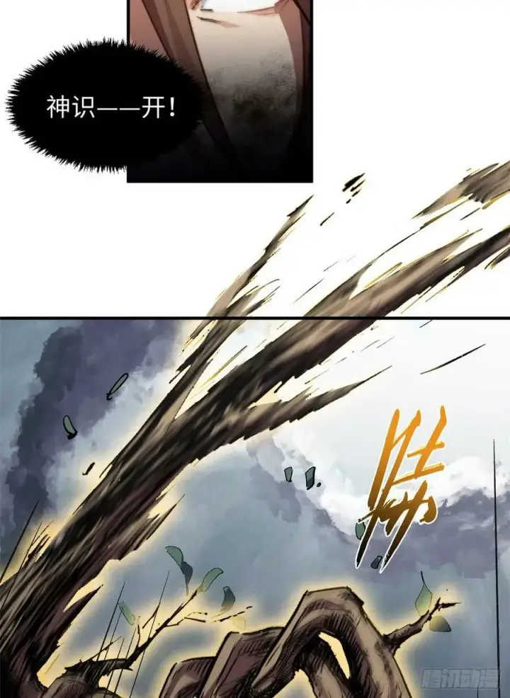 漫画《顶级气运，悄悄修炼千年》83 朱雀之子第39张图