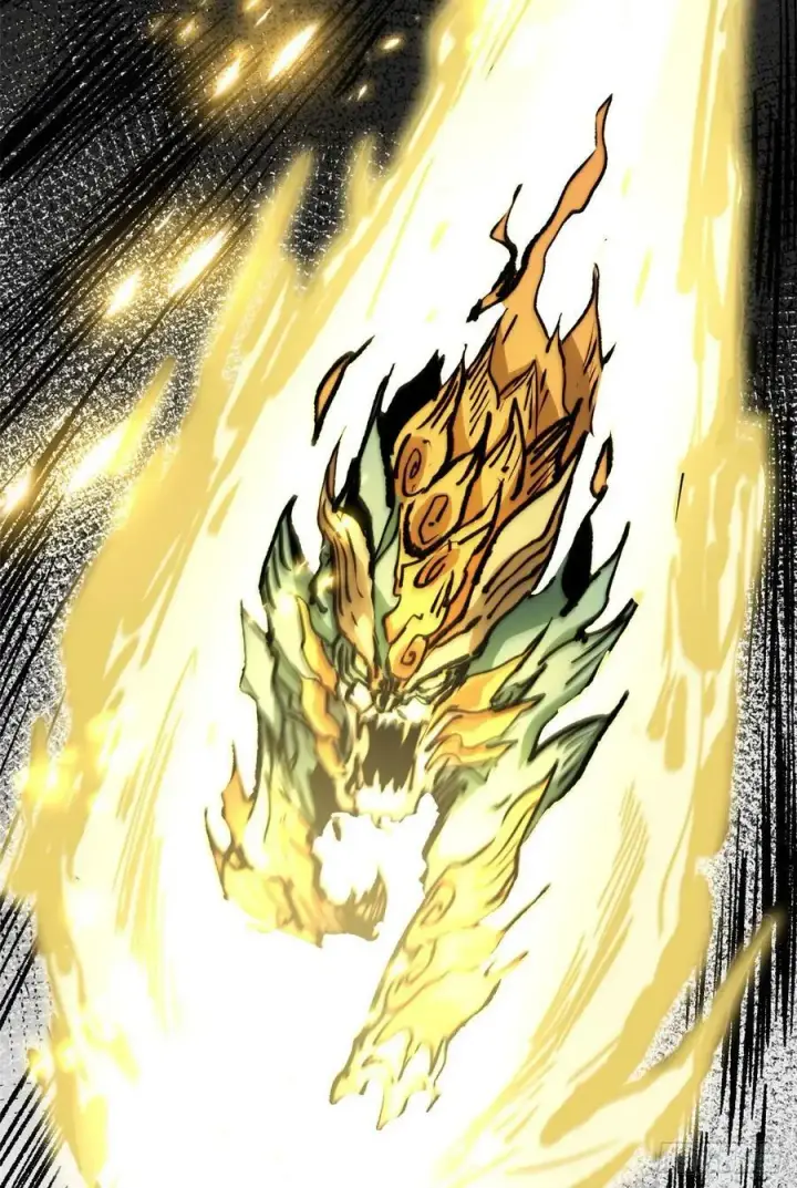 漫画《顶级气运，悄悄修炼千年》83 朱雀之子第63张图