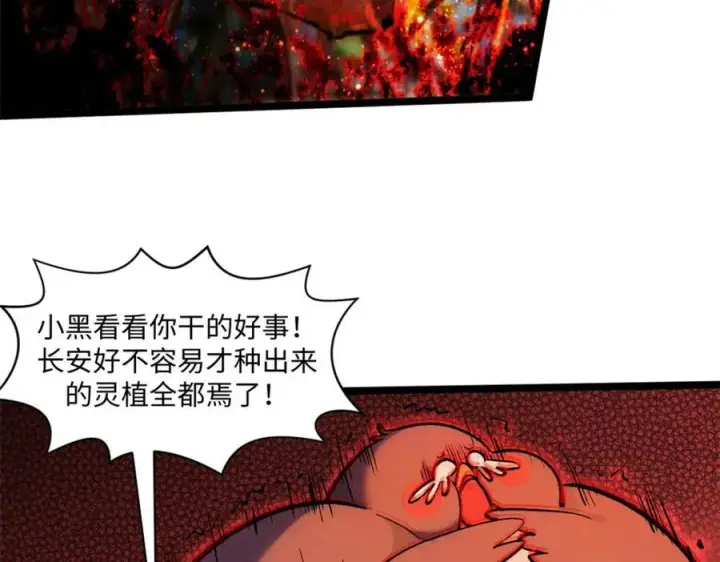 漫画《顶级气运，悄悄修炼千年》149 收服金乌第16张图