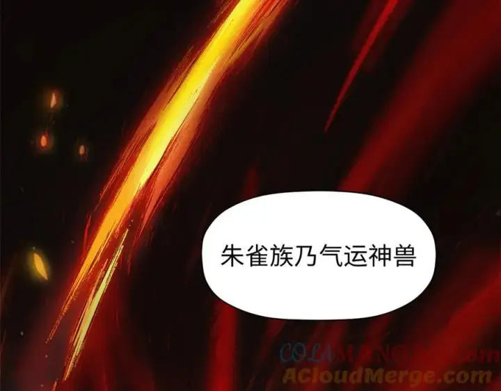 漫画《顶级气运，悄悄修炼千年》156 强大的徒孙第5张图