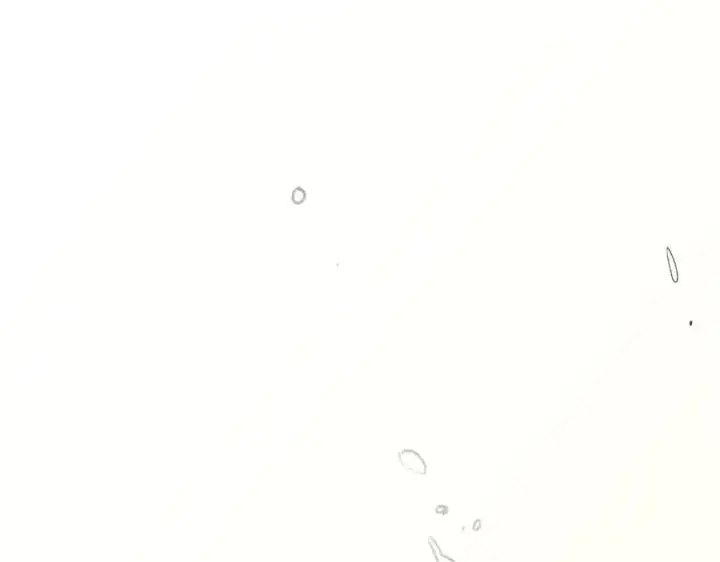 漫画《顶级气运，悄悄修炼千年》192 娶妻？！啊？第183张图