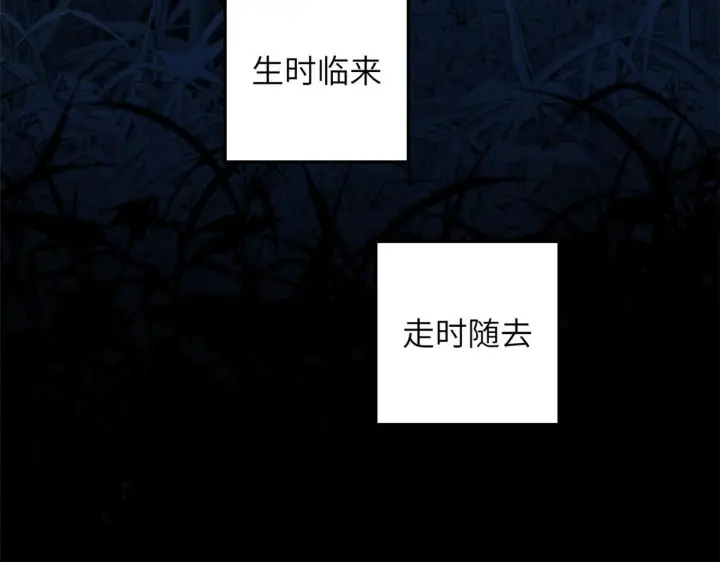 漫画《顶级气运，悄悄修炼千年》249 愿为西南风，长逝入君怀第235张图