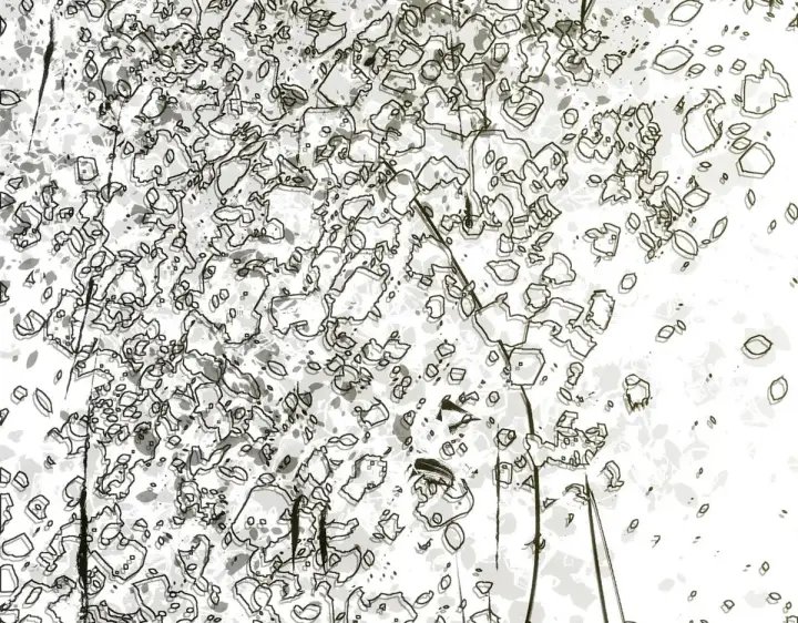 漫画《顶级气运，悄悄修炼千年》257 方良飞升第194张图