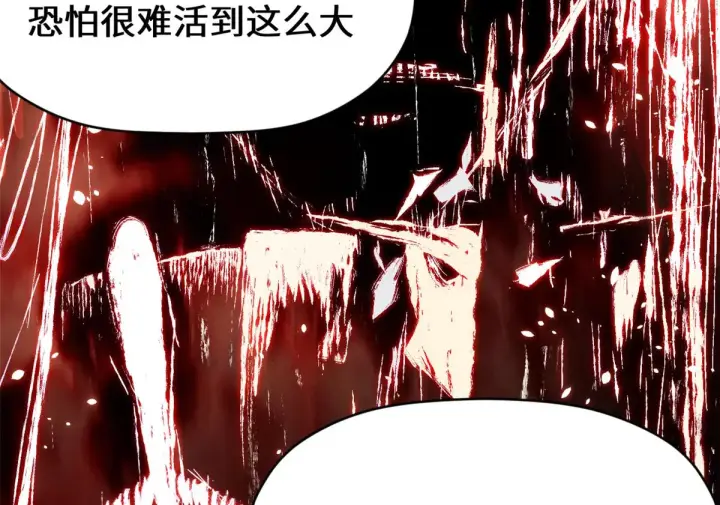 漫画《顶级气运，悄悄修炼千年》261 厉遥的机缘第44张图