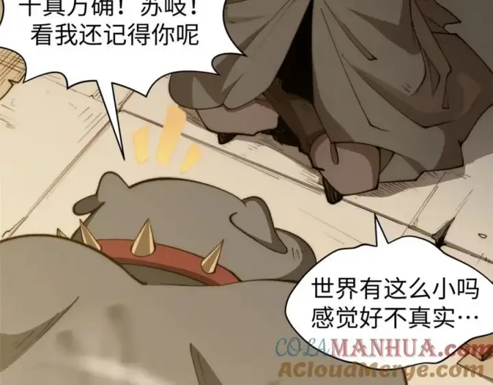 漫画《顶级气运，悄悄修炼千年》139 苏岐，对不起！第73张图