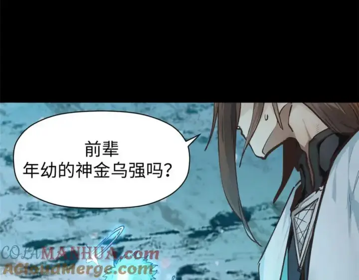 漫画《顶级气运，悄悄修炼千年》140 金乌第97张图