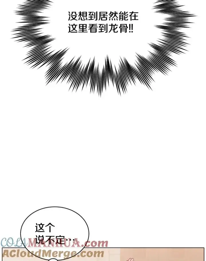 漫画《顶级英雄归来》51.铸成双胞胎剑第41张图