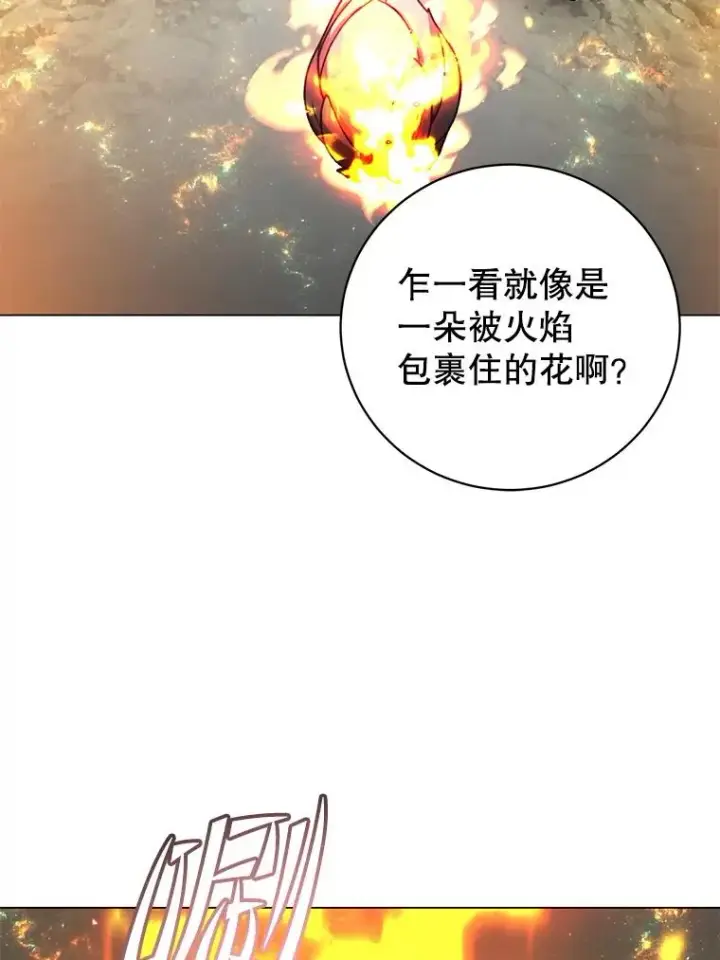 漫画《顶级英雄归来》171.驯服朱雀第27张图