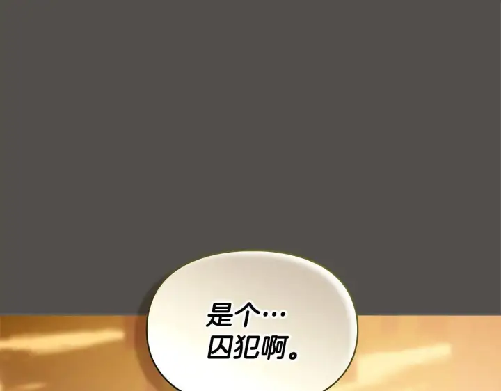 漫画《冬城的小囚犯》第68话 命运一样第176张图