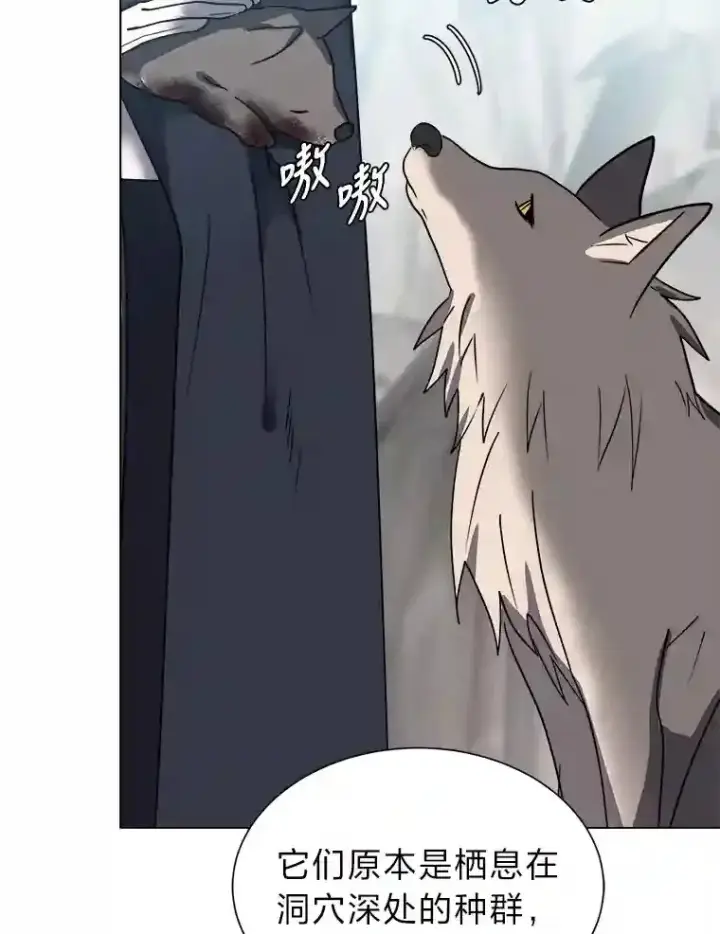 漫画《读心少年利沙度》44.新同伴第13张图
