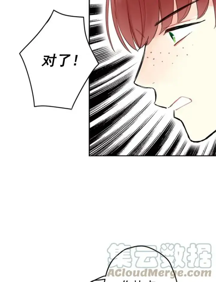 漫画《恶女保命计划》20.兄长第45张图