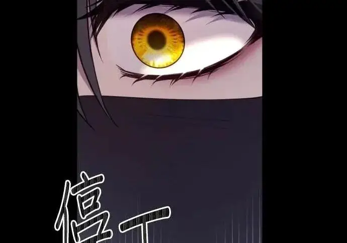 漫画《恶女只想安静地生活！》第66话第215张图