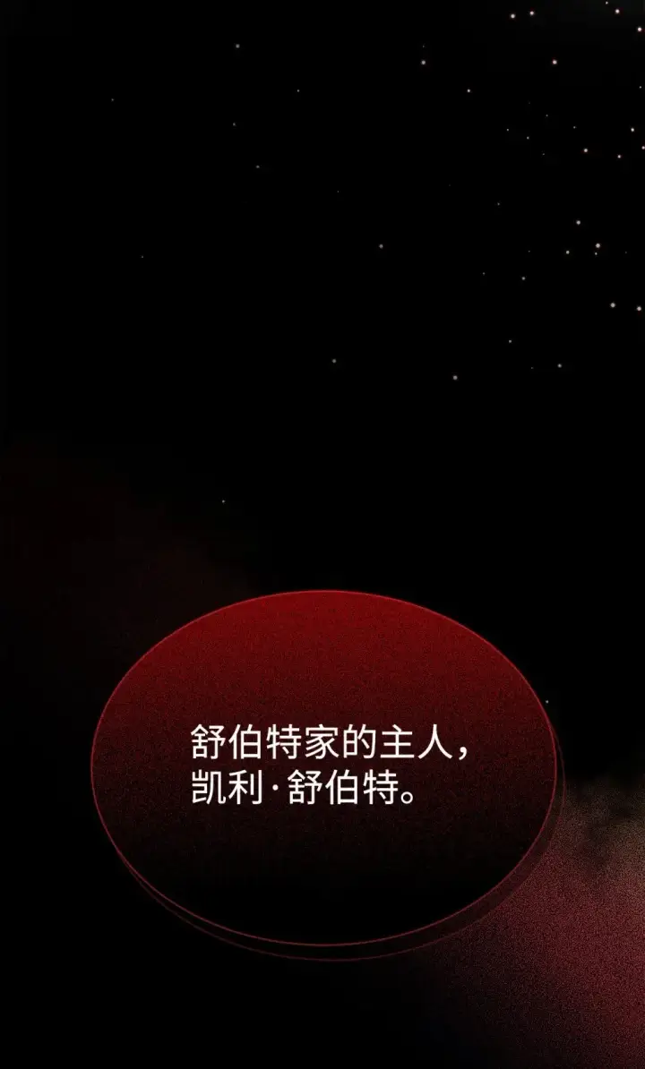 漫画《恶役想要优雅地死去》27 舒伯特家族的主人第110张图