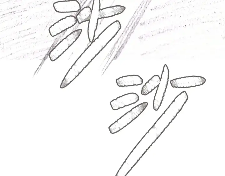 漫画《恶之环》88第103张图