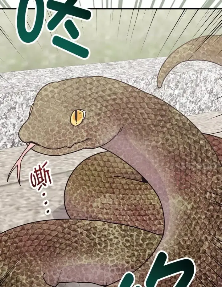 漫画《反派的姐姐今天也很心累》49.惴惴不安的原因第63张图