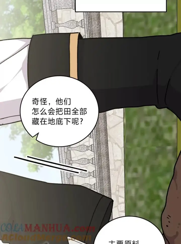 漫画《反派的姐姐今天也很心累》57.卢卡斯案的收尾第29张图