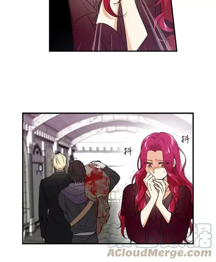 漫画《反派的继母》3.另一个反派第43张图