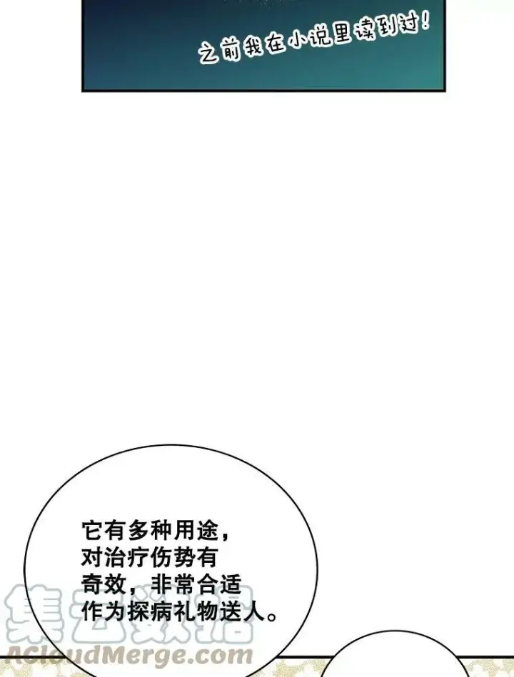 漫画《反派的继母》47.魔力石第61张图