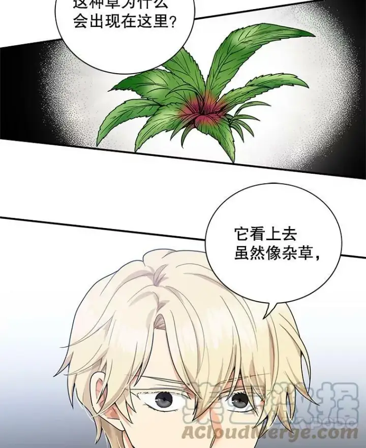 漫画《反派的继母》61.幸福第7张图
