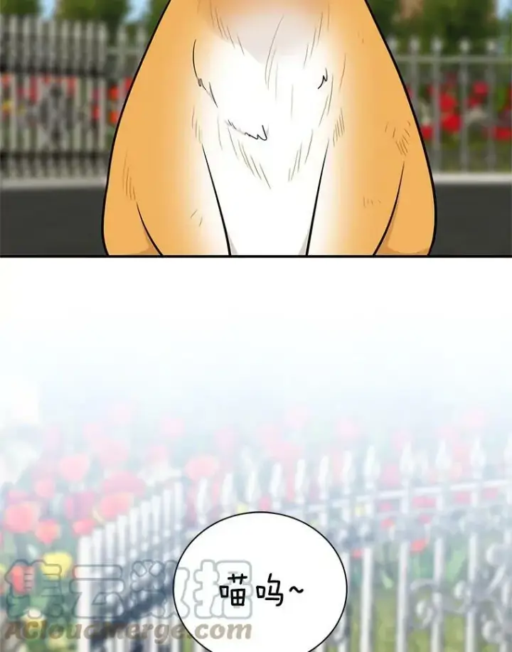 漫画《反派的继母》67.卡丽娜和猫第19张图