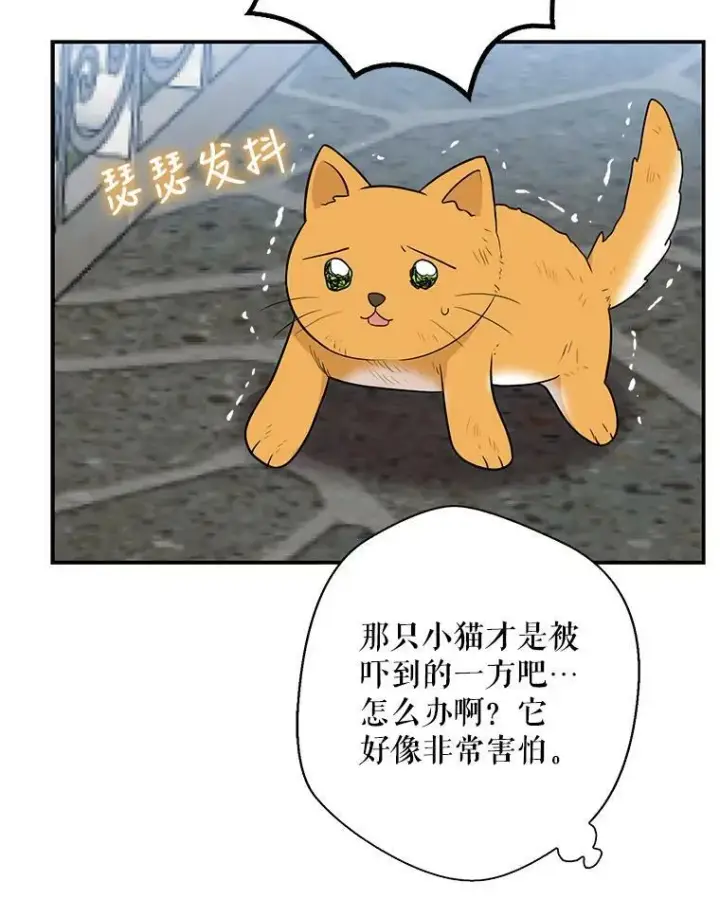 漫画《反派的继母》67.卡丽娜和猫第27张图