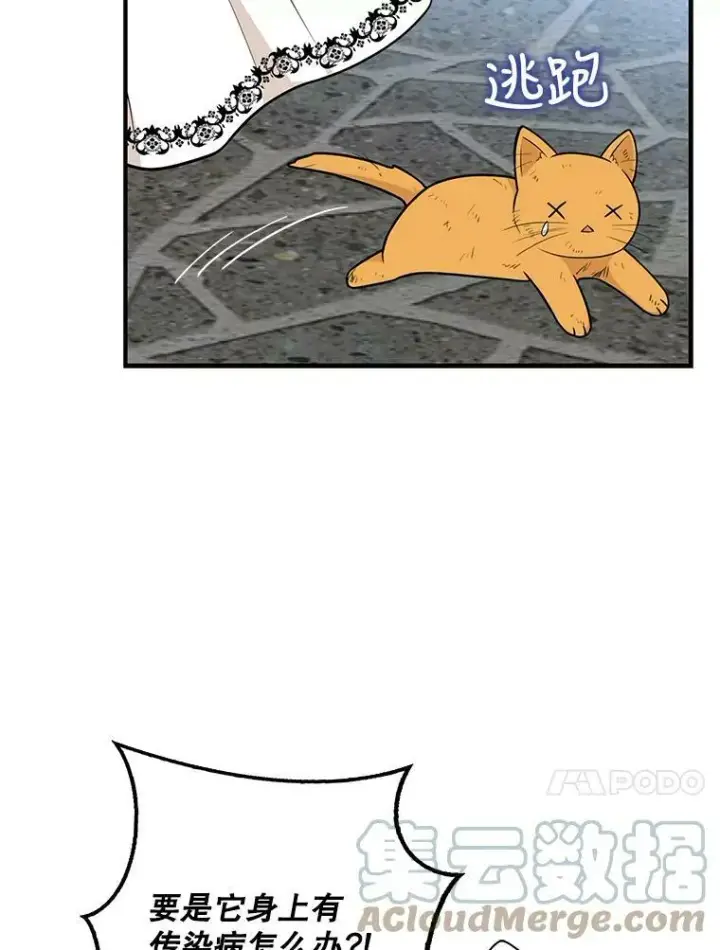 漫画《反派的继母》67.卡丽娜和猫第34张图
