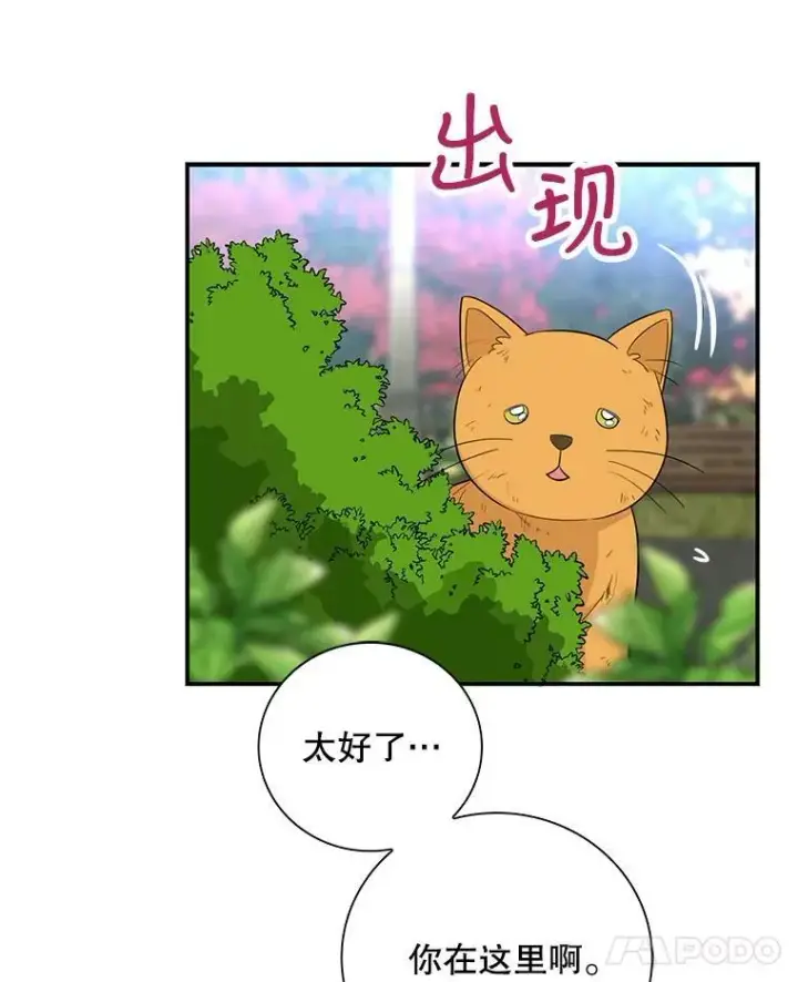 漫画《反派的继母》67.卡丽娜和猫第48张图
