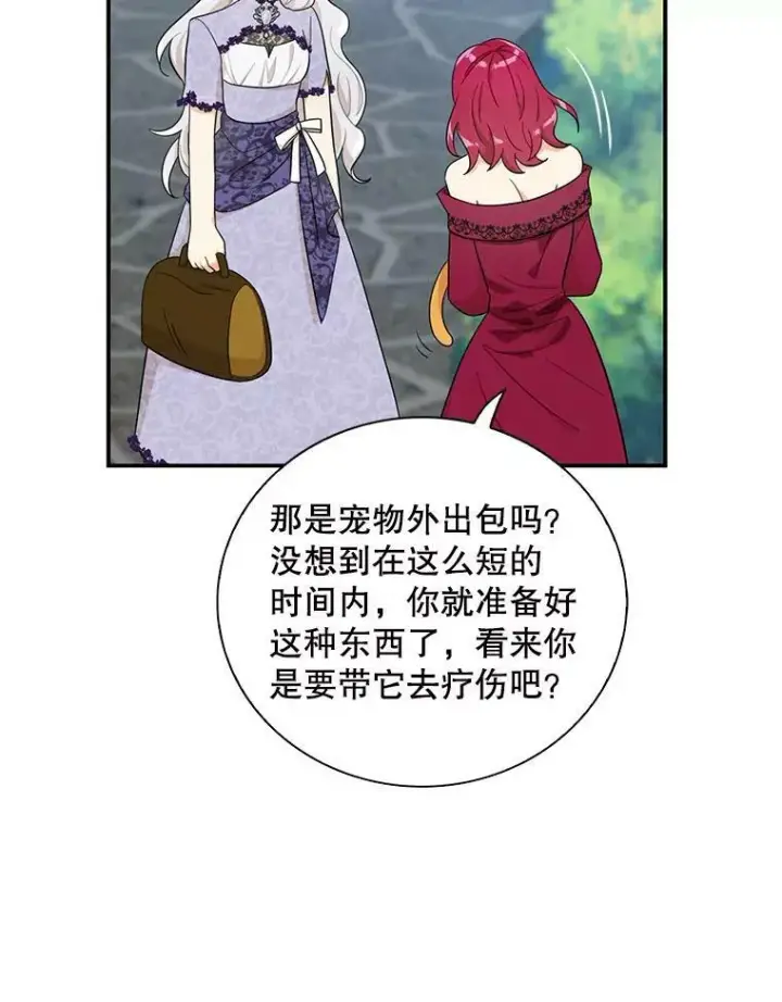 漫画《反派的继母》67.卡丽娜和猫第66张图