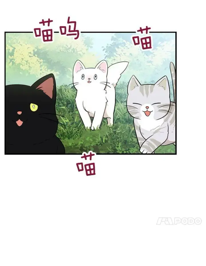漫画《反派的继母》68.卡丽娜的邀请函第17张图
