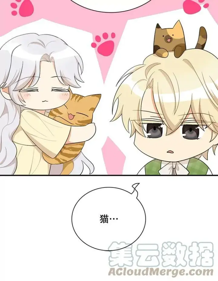 漫画《反派的继母》68.卡丽娜的邀请函第58张图