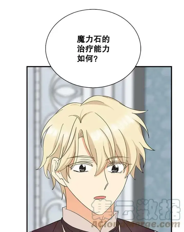 漫画《反派的继母》81.皇帝晕倒了？（本季完）第55张图