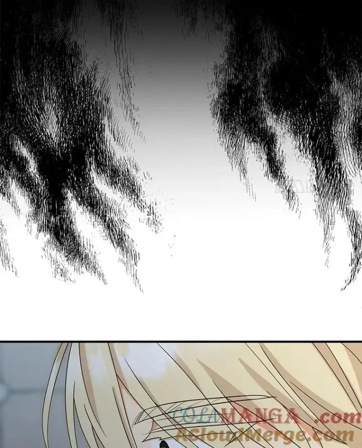 漫画《反派的继母》94.罗塞莉亚的提案第4张图