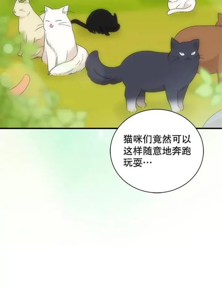 漫画《反派的继母》96.有了答案第63张图